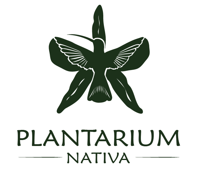 PLANTARIUM VERDE